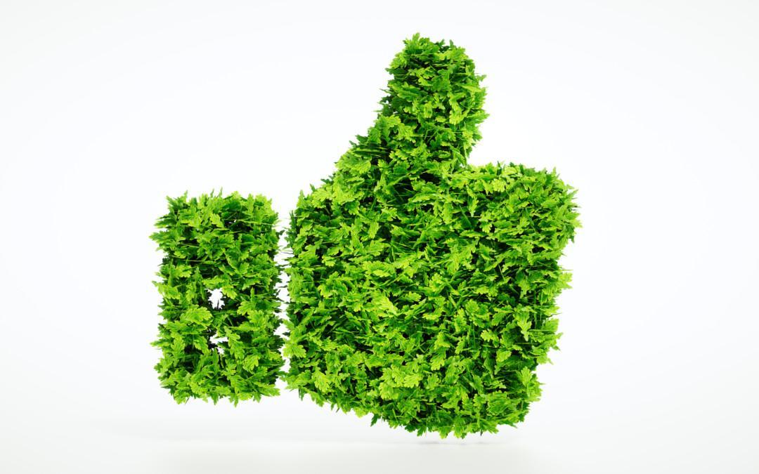 Renewable heating oil supports the reduction of the carbon footprint of heating