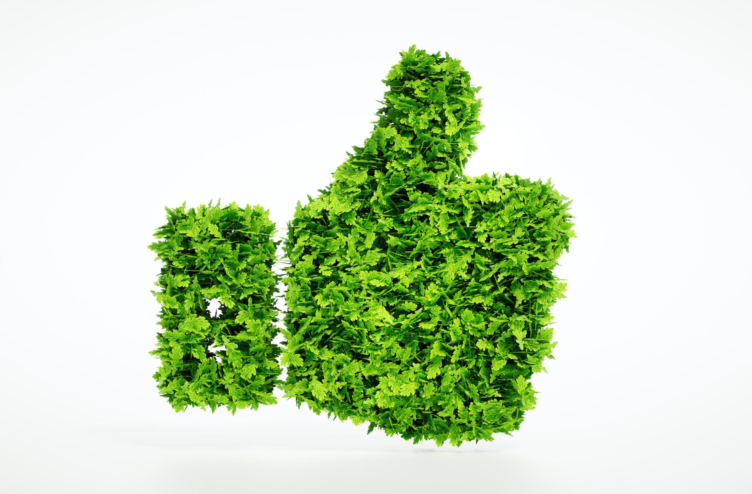 Renewable heating oil supports the reduction of the carbon footprint of  heating - Oilon